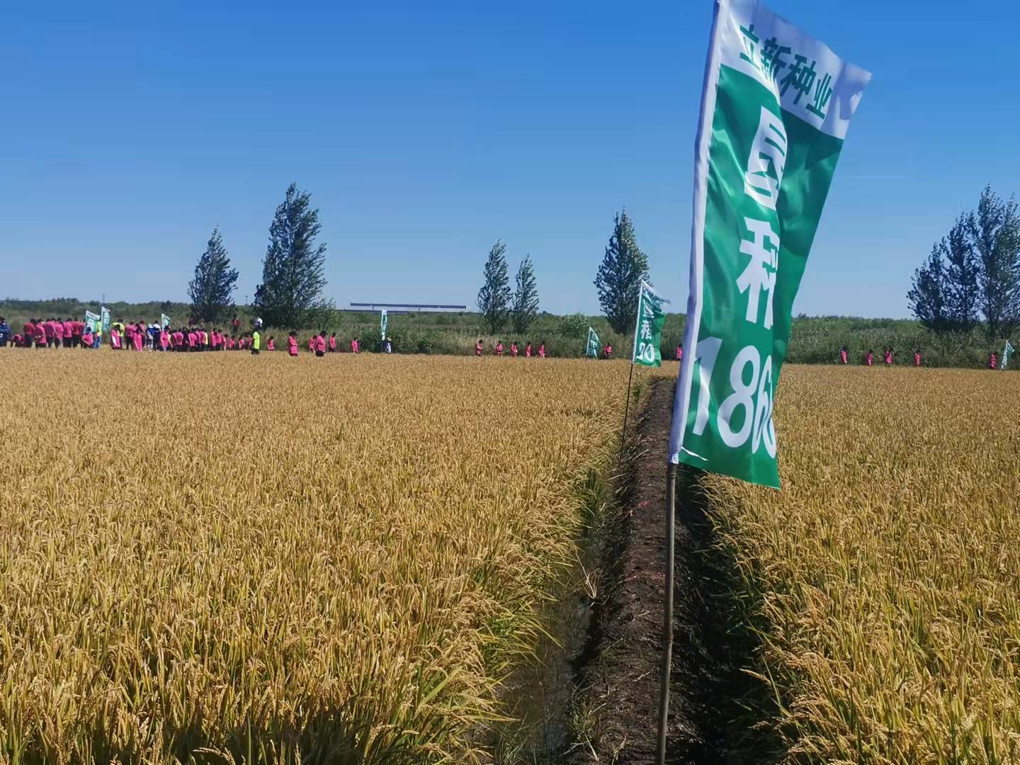 2021佳蓮種業(yè)秋季現(xiàn)場