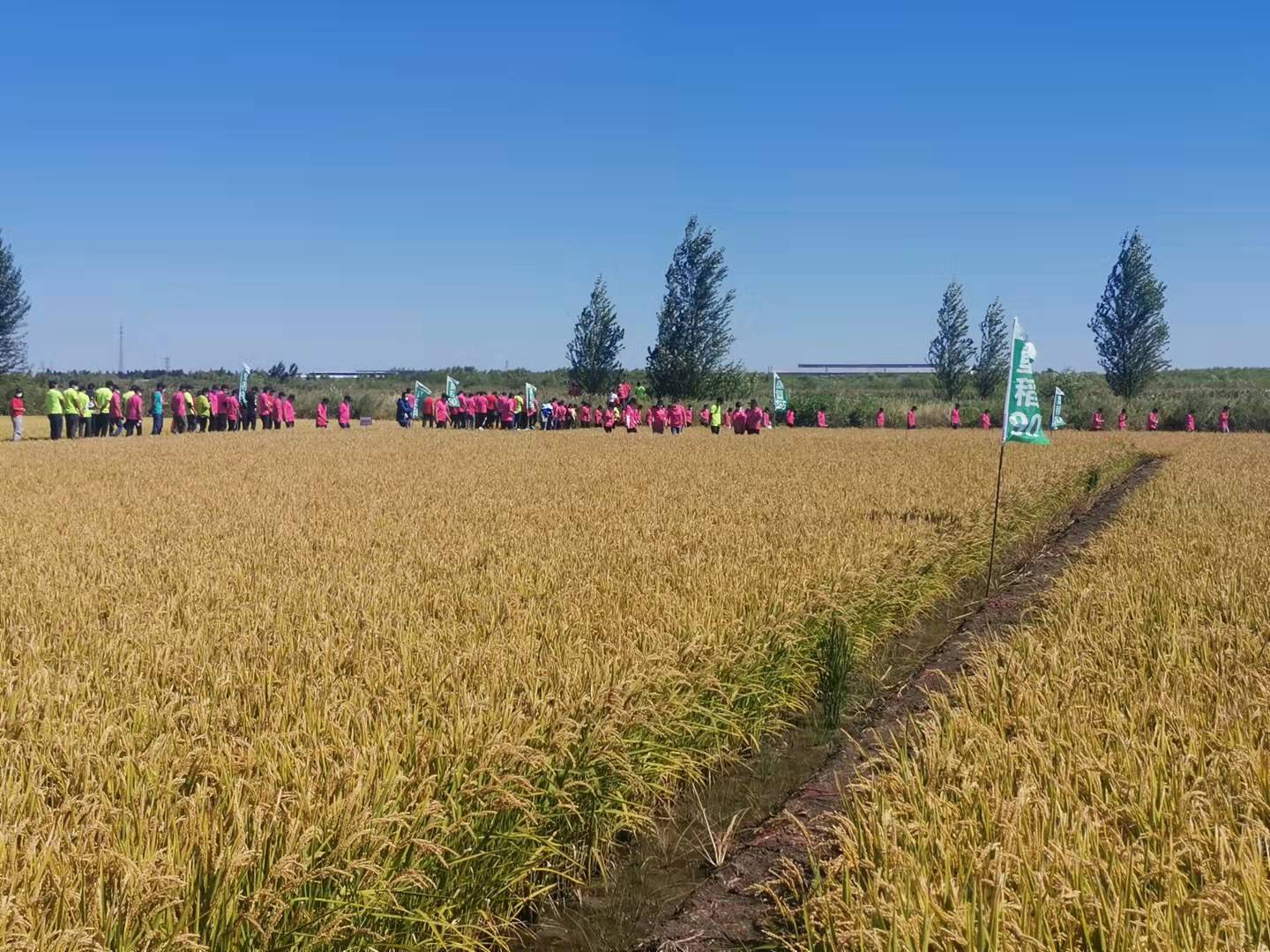 2021佳蓮種業(yè)秋季現(xiàn)場
